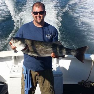 Meet your Posher, Jason